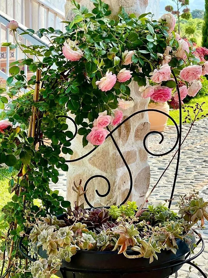 Aparthotel Casa De Oro Alma Sozopol